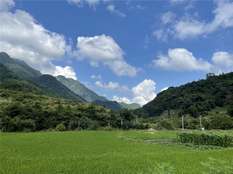 乡村