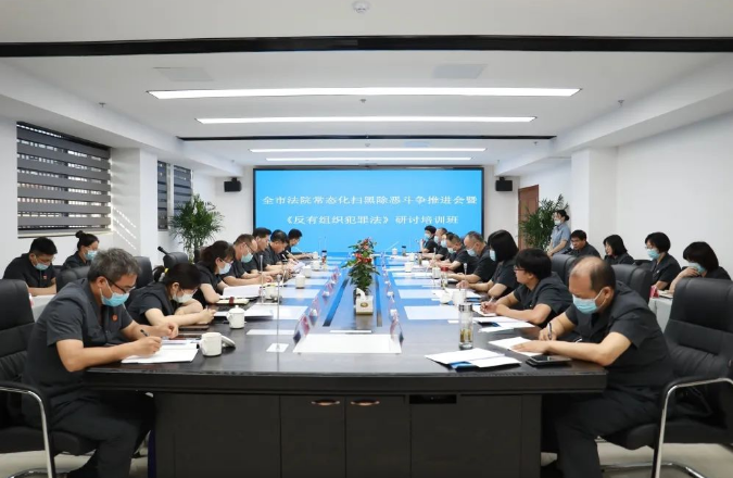 全市法院常态化扫黑除恶斗争推进会暨《反有组织犯罪法》研讨培训班在南谯法院召开