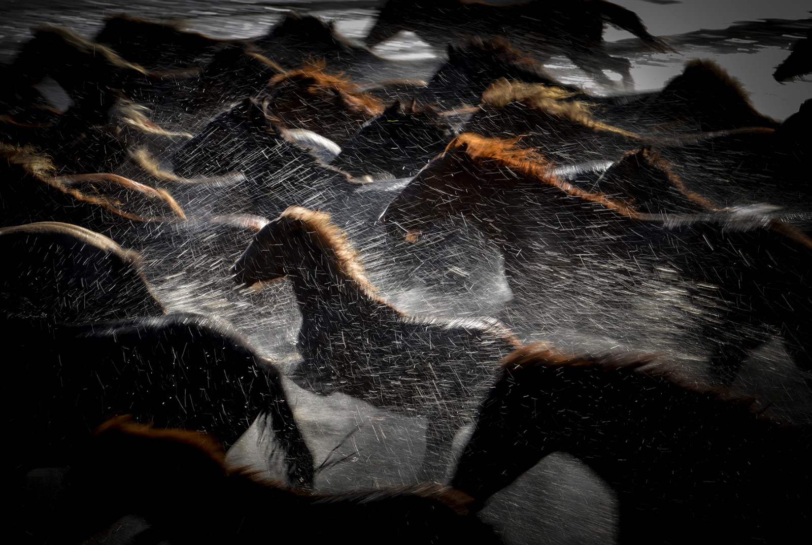 唐山法院干警摄影作品展