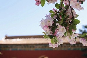 最是人间四月天