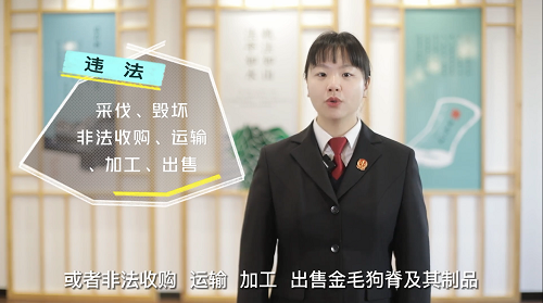 【澄法小剧场第四季】..