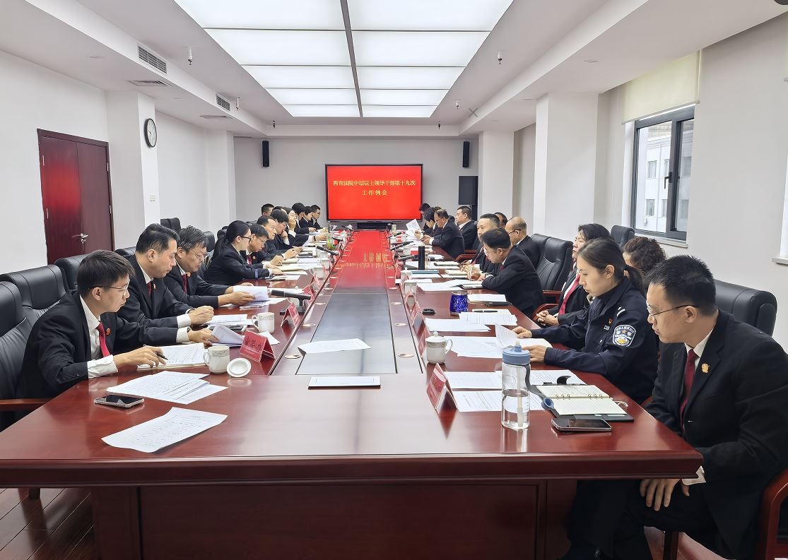 数据领航 聚力增效——西青法院开展2025年1至9月司法审判数据会商


