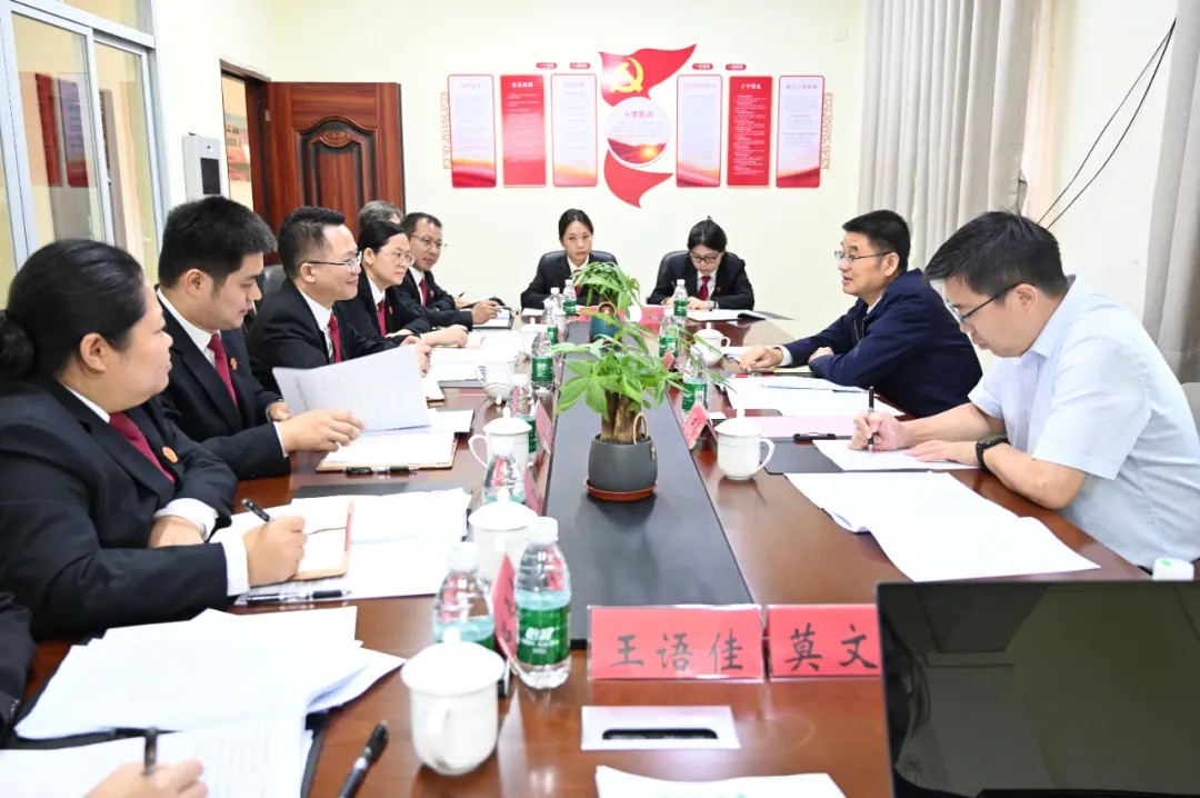 戴军院长赴定安法院龙门法庭、居丁法庭宣讲党的二十届四中全会精神